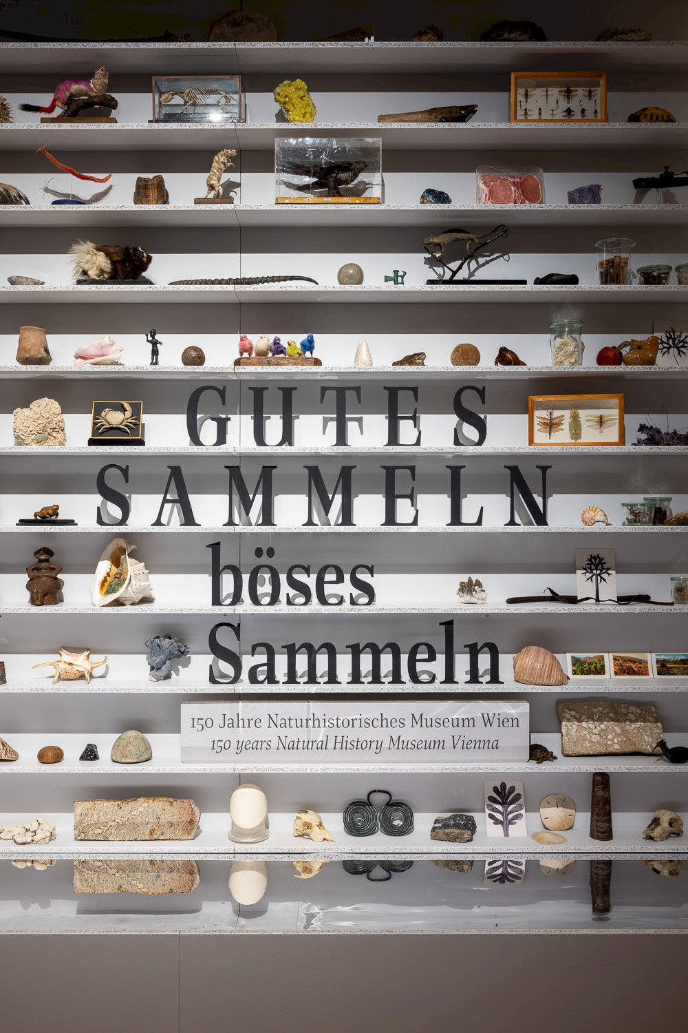 Gutes Sammlen, böses Sammeln. 150 Jahre NHMW